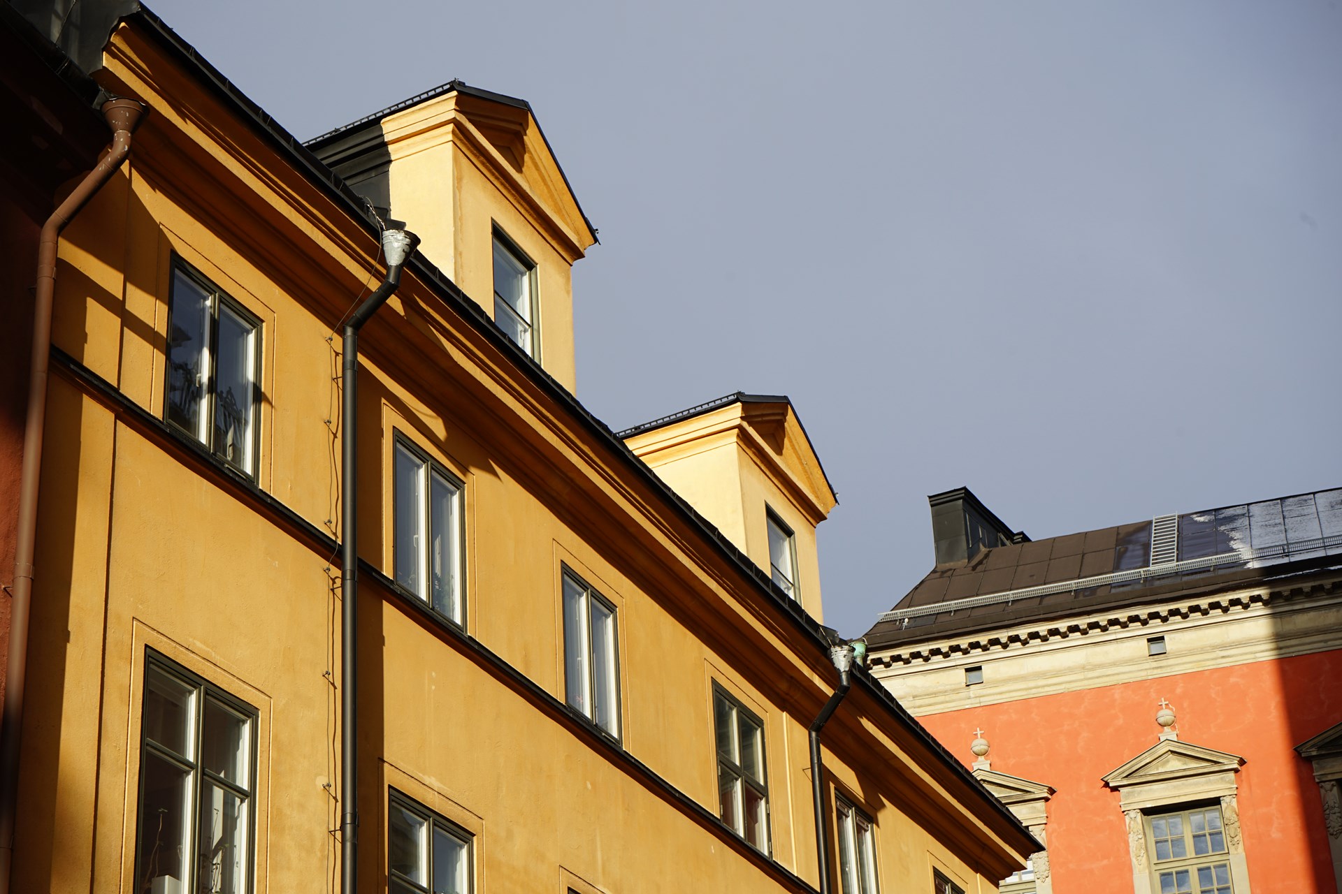 DSC02900